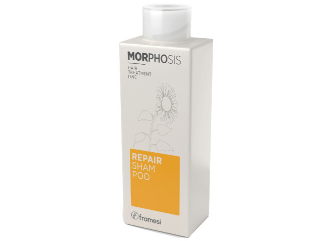 Morphosis Repair Shampoo 250ML